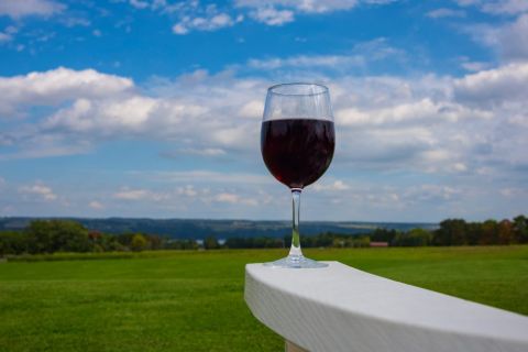 An image of The Hotel Ithaca in Ithaca NY