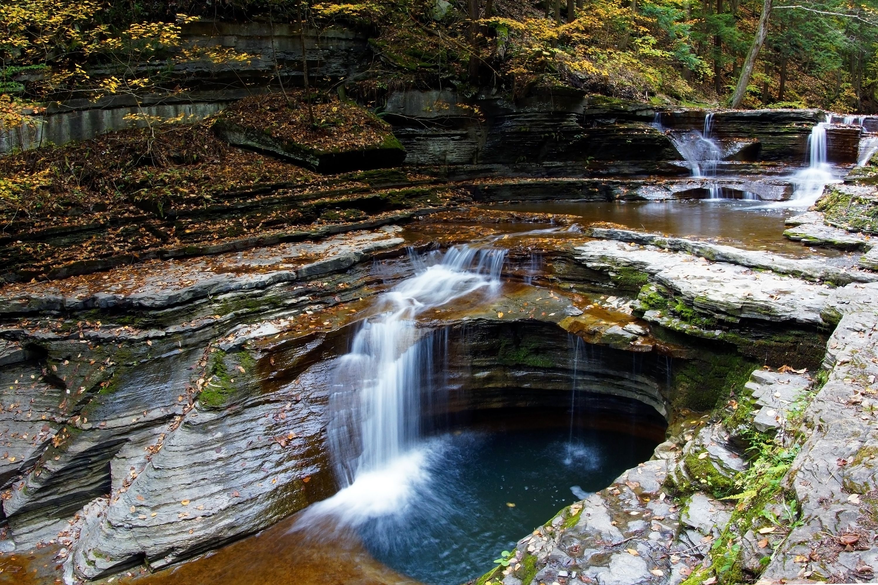 An image of The Hotel Ithaca in Ithaca NY