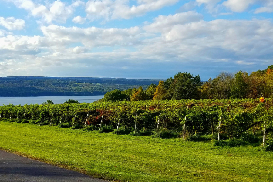 An image of The Hotel Ithaca in Ithaca NY